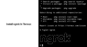 Read more about the article How To download, Install ngrok in Termux on Android