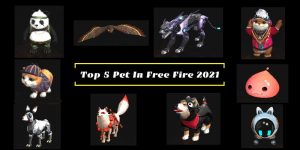 Read more about the article Top 5 Pet In Free Fire 2021