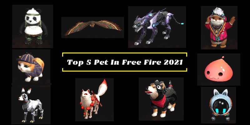 You are currently viewing Top 5 Pet In Free Fire 2021