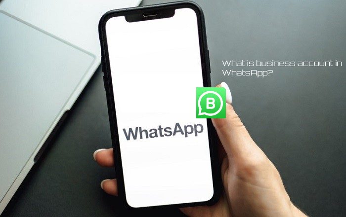 You are currently viewing What is business account in WhatsApp?2021