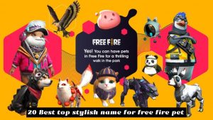 Read more about the article 20 Best top stylish name for free fire pet 2021