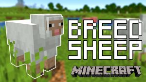 Read more about the article Minecraft Guide: How To Breed Sheep In Minecraft