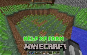 Read more about the article How to Make Kelp XP Farm: Minecraft (1.17)