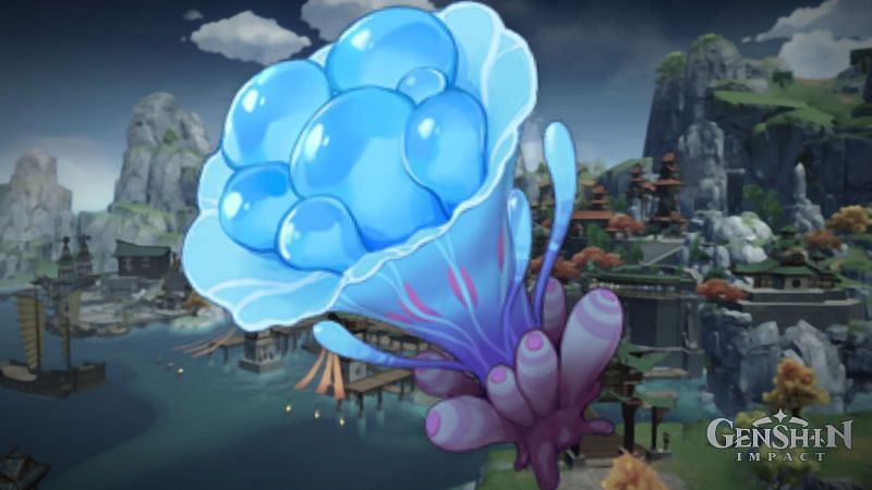 You are currently viewing All Sea Ganoderma Locations In Genshin Impact: Full Guide