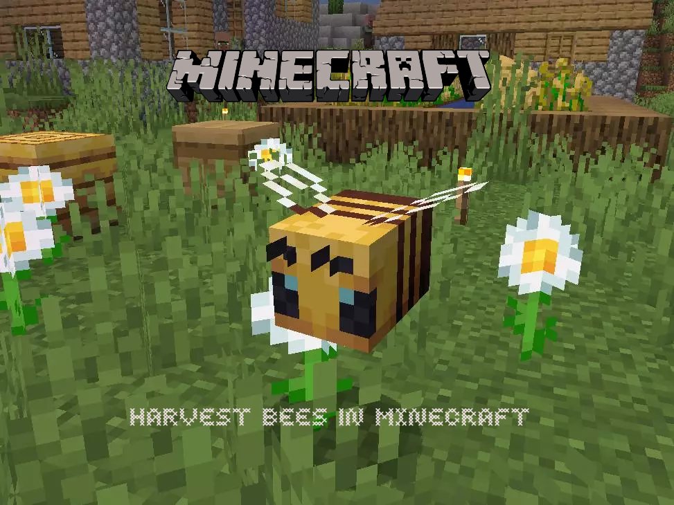 You are currently viewing Where To Find Harvest Bees In Minecraft  All Locations
