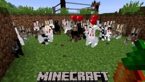 Read more about the article How To Breed Rabbits In Minecraft