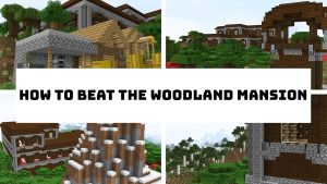 Read more about the article How To Beat The Woodland Mansion In Minecraft