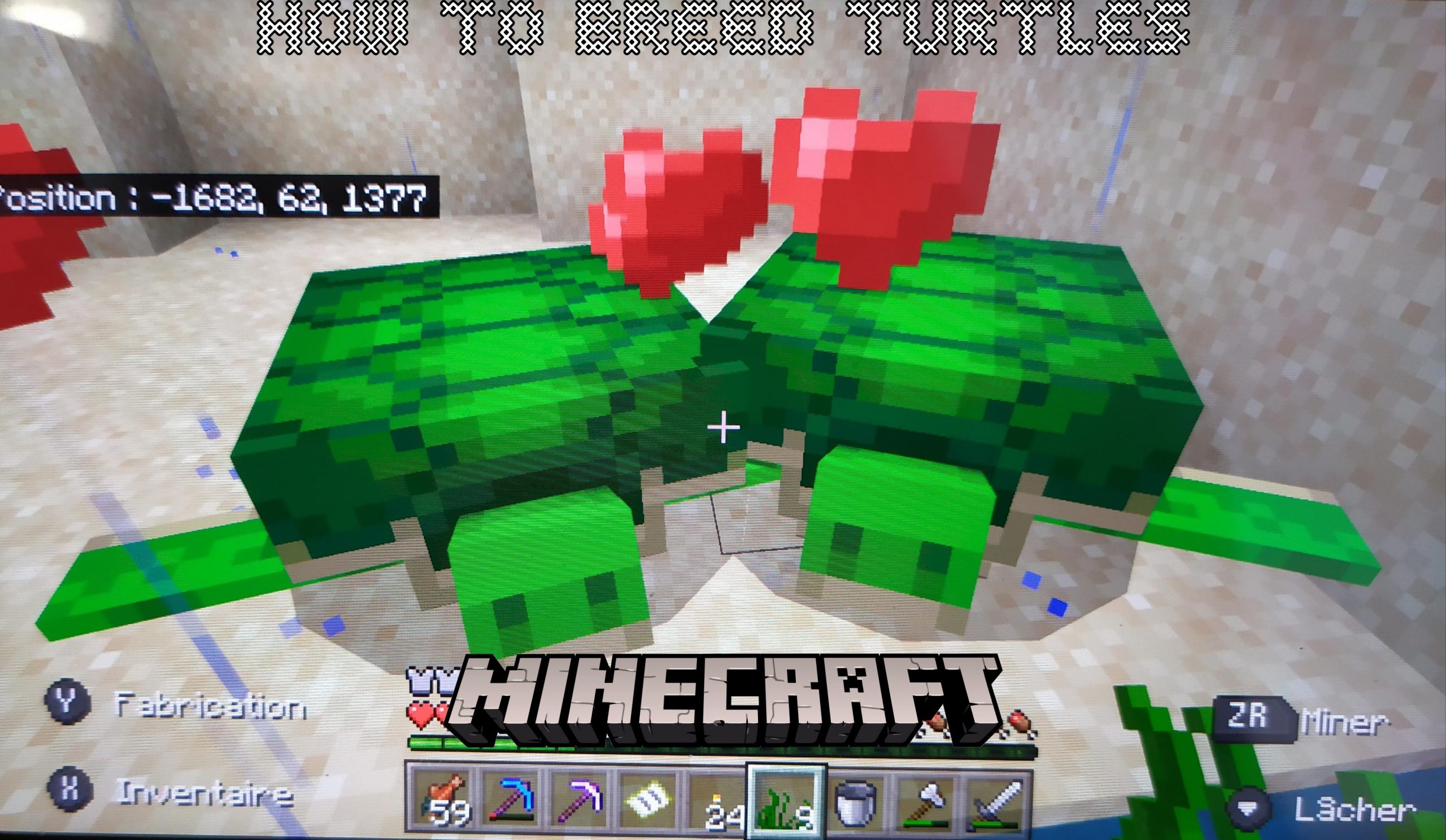 Read more about the article How to breed turtles in minecraft 1.17