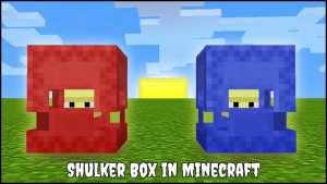 Read more about the article How to Make Shulker Box in Minecraft?
