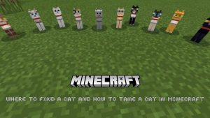 Read more about the article Where To Find A Cat In Minecraft And How To Tame A Cat In Minecraft