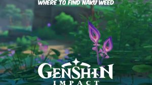 Read more about the article Where To Find Naku Weed In Genshin Impact