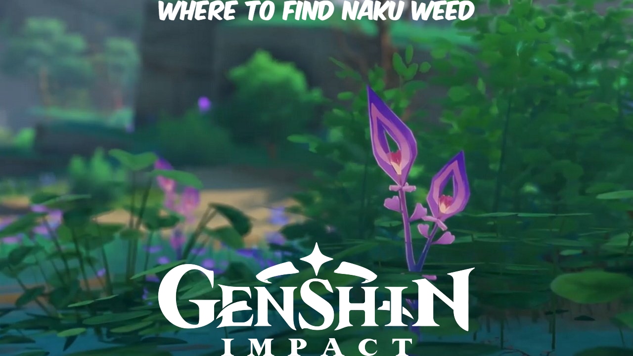 You are currently viewing Where To Find Naku Weed In Genshin Impact