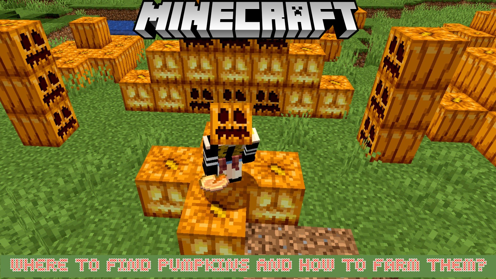 Read more about the article Where To Find Pumpkins In Minecraft And How To Farm Them?