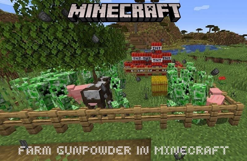 You are currently viewing How To Farm Gunpowder Without Doing Anything In Minecraft?