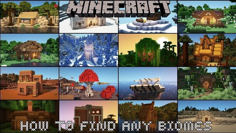 Read more about the article How To Find Any Biomes In Minecraft 1.17