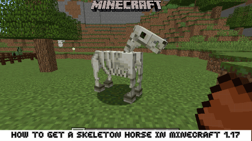 You are currently viewing How to get a skeleton horse in minecraft 1.17