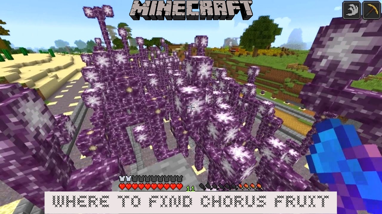 Read more about the article Where to find chorus fruit in minecraft