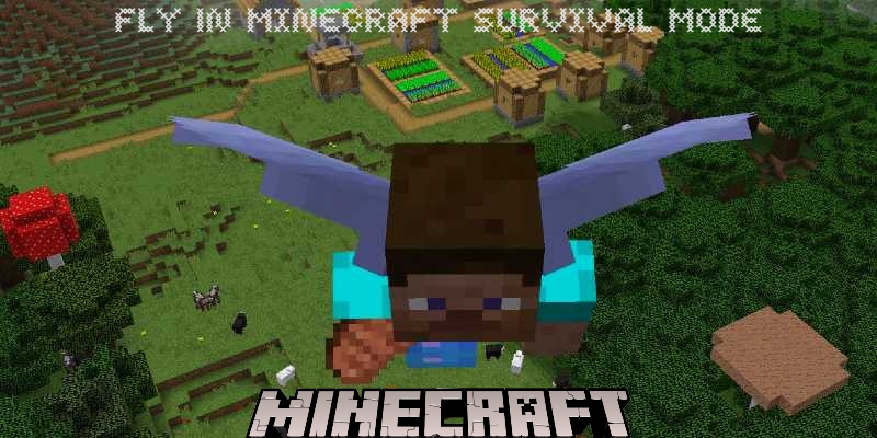 You are currently viewing How To Get An Elytra To Fly In Minecraft Survival Mode
