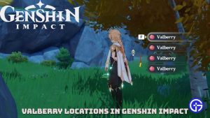 Read more about the article All Valberry Locations in Genshin Impact