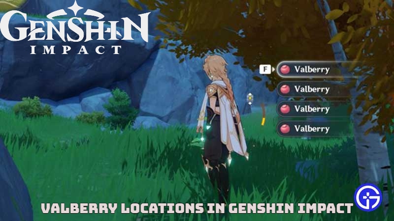All Valberry Locations in Genshin Impact