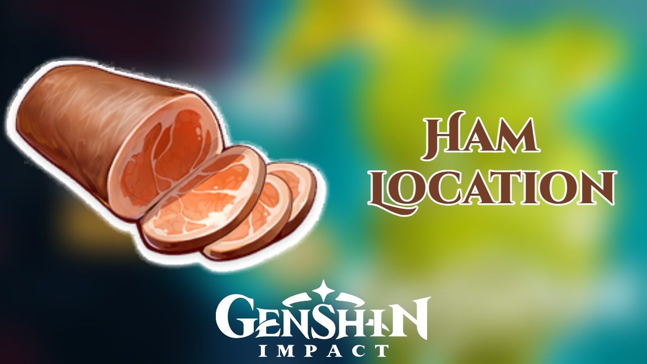 You are currently viewing Genshin Impact Ham Location Buy Ham From Shops