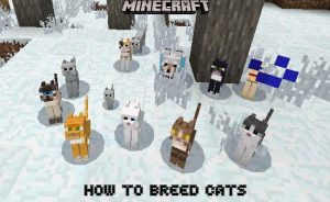 Read more about the article How to Breed Cats in Minecraft 1.17