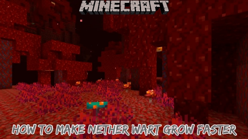 You are currently viewing How to Make Nether Wart Grow Faster