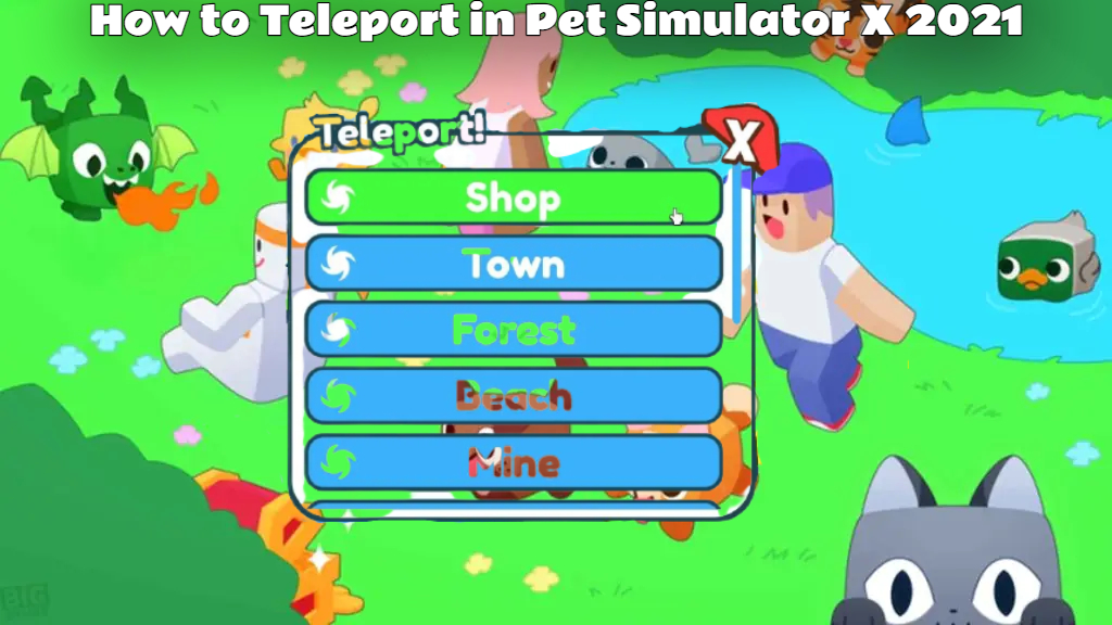 Read more about the article How to Teleport in Pet Simulator X 2021