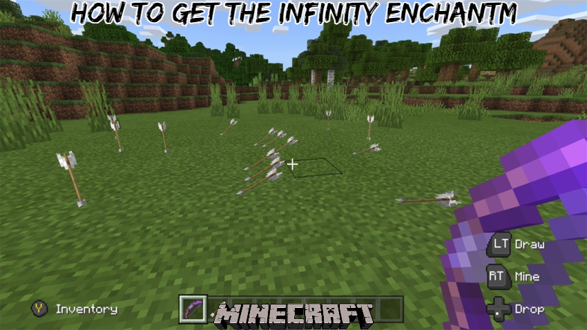 Read more about the article How to get the Infinity Enchantm in Minecraft