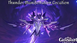 Read more about the article Thunder Manifestation Location in Genshin Impact