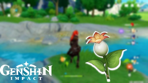 Read more about the article Genshin Impact : Calla Lily Locations