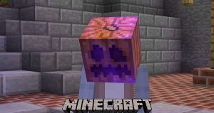 Read more about the article How To Remove Curse Of Binding In Minecraft:Without Dying
