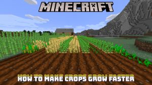 Read more about the article How to Make Crops Grow Faster in Minecraft Best Ways