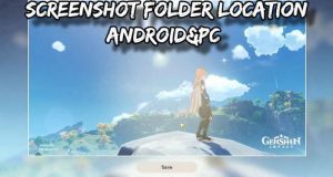 Read more about the article Genshin Impact Screenshot Folder Location Android&PC