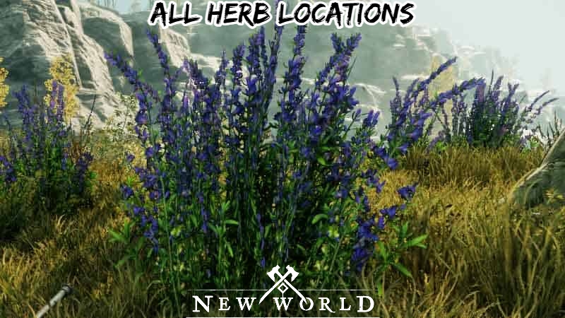 Read more about the article New World Herb Farming Guide: All Herb Locations