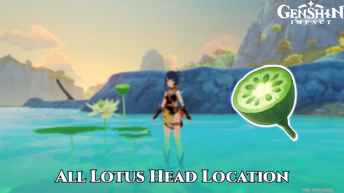 Read more about the article Where To Find Lotus Head In Genshin Impact: All Lotus Head Location
