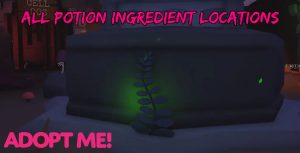 Read more about the article Where To Find Potion Ingredient In Adopt Me: All Potion Ingredient Locations