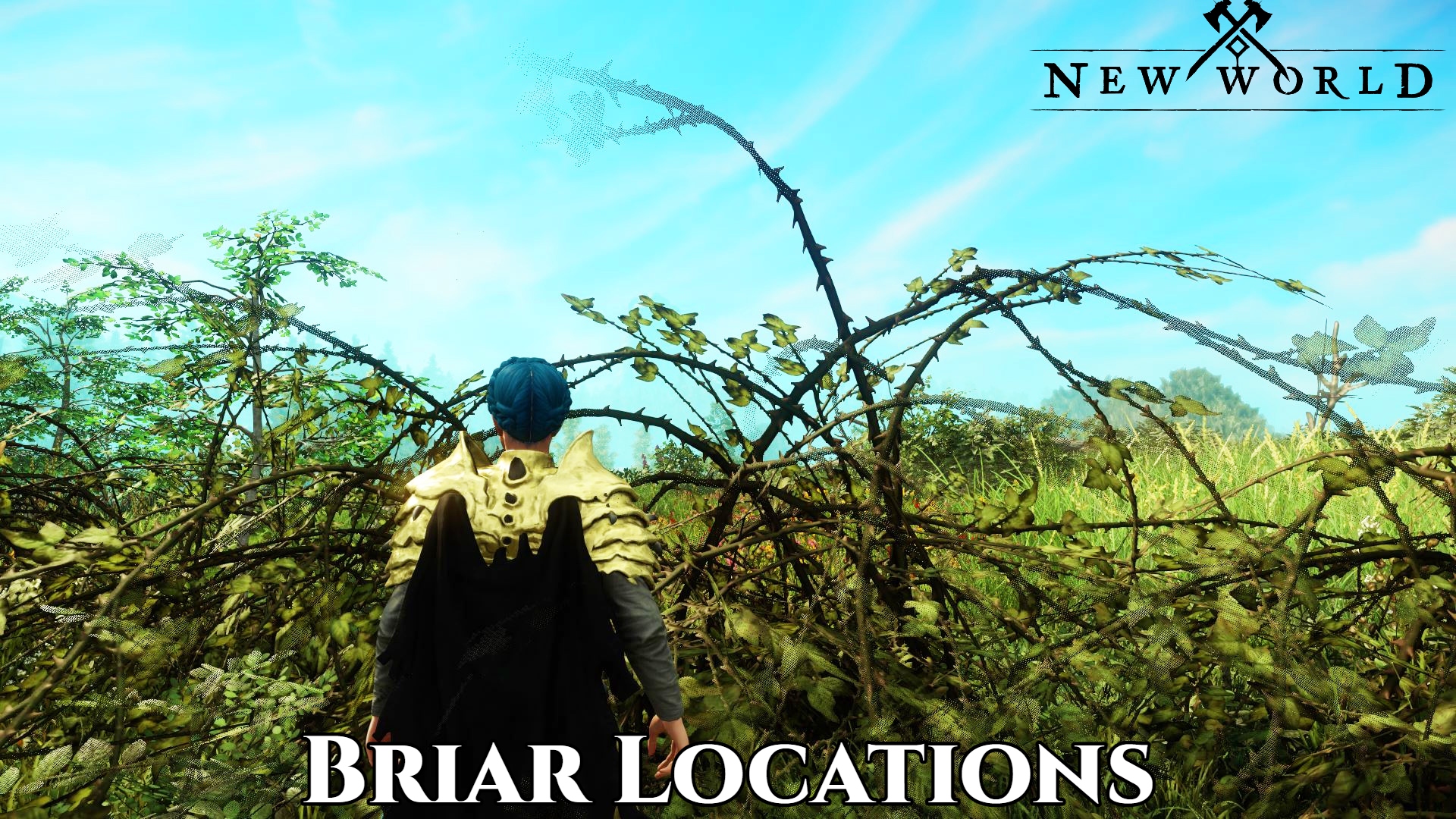 You are currently viewing Where to Find Briar Branches New world|New World Briar Locations