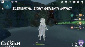Read more about the article How to Play Elemental Sight Genshin Impact on PC, Mobile, Laptop, Iphone, PS4