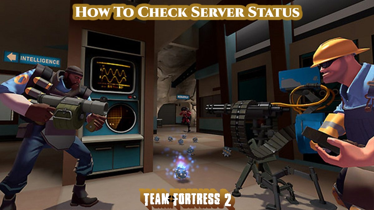 How To Check Server Status