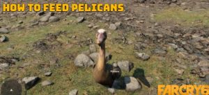 Read more about the article How To Feed Pelicans In Far Cry 6 and Where To Feed Pelicans