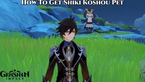 Read more about the article How To Get Shiki Koshou Pet In Genshin Impact