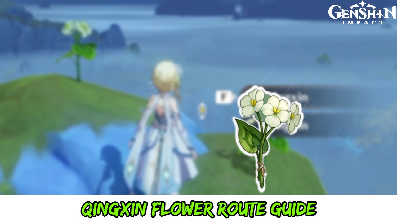You are currently viewing Genshin Impact Qingxin Flower Route Guide