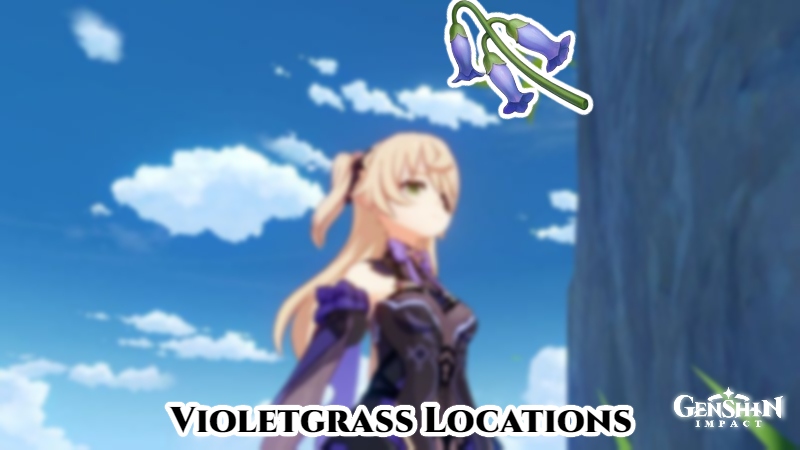 You are currently viewing Where To Find Violetgrass In Genshin Impact: All Violetgrass Locations