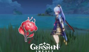 Read more about the article How to craft Red Rot Bait in Genshin Impact
