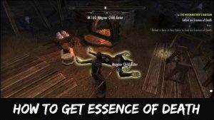 Read more about the article How To Get Essence Of Death In ESO