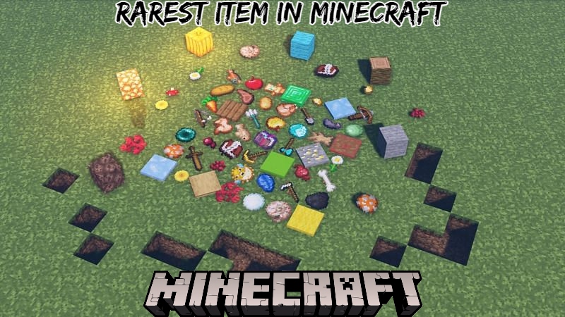 You are currently viewing What is the most rarest item in minecraft
