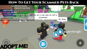 Read more about the article Adopt Me: How To Get Your Scammed Pets Back 