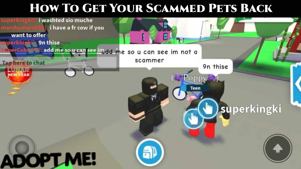 You are currently viewing Adopt Me: How To Get Your Scammed Pets Back 