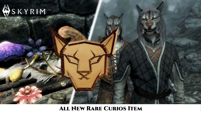 You are currently viewing All New Rare Curios Item In Skyrim